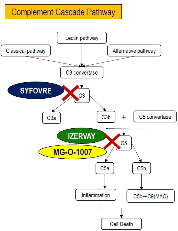 Geographic Atrophy, GA