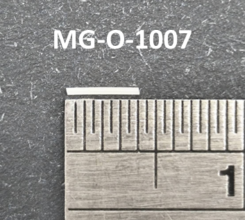 Geographic Atrophy, GA